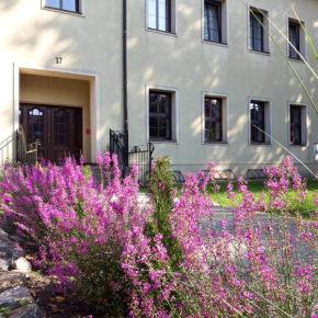 Hotels in Moryń